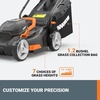 image:imageWORX 17 Cordless Lawn Mower 2 in 1 Electric Mower Cuts Quietly Compact amp Lightweight Push Lawn Mower with 7Position Height Adjustment for Small Yards 2 Batteries amp Charger Included WG74317 40V Mower w2 40 Ah Batteries