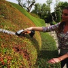image:imageWORX 2 in 1 Cordless Hedge Trimmer 4 Grass Shear amp 8 Shrub Trimmer with 2 Blades Battery amp Charger Not Included WG80198 20V Shrubber Trimmer w120Ah Battery