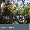 image:imageWorx Nitro 20V 8  cordless pole chainsaw tool only WG349920 Ah battery and charger included