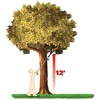 image:imageWorx WA0169 5 Extension Pole for WG320 and WG321 JawSaw Chainsaws
