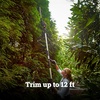 image:imageWorx WG2529 20V Power Share 2in1 20 Cordless Hedge Trimmer Tool Only20 20V Hedge Trimmer w120Ah Battery