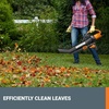 image:imageWORX Trivac 3 in 1 Electric Leaf Blower for Lawn Care Leaf Vacuum with 350 CFM amp 210 MPH Leaf Mulcher with Metal Impeller WG509350CFM BlowerVacMulcher